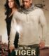 Ek Tha Tiger Türkçe Dublaj film izle